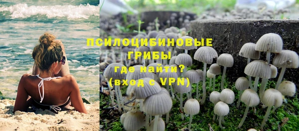 твердый Арсеньев