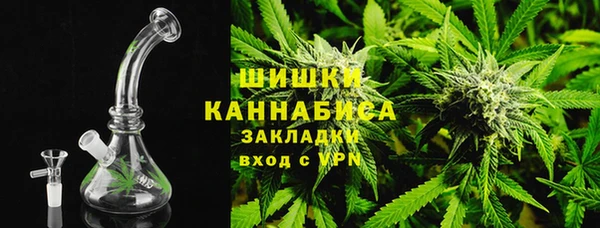 твердый Арсеньев