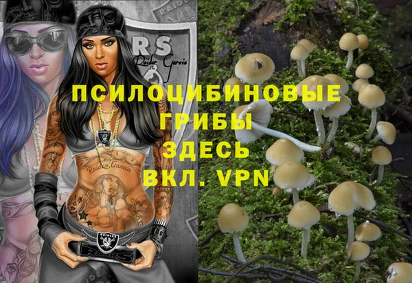 твердый Арсеньев