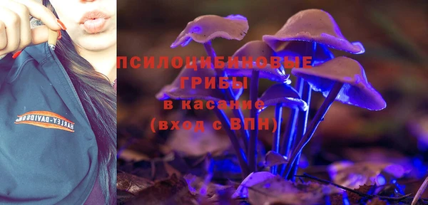твердый Арсеньев