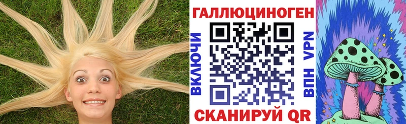 Псилоцибиновые грибы MAGIC MUSHROOMS Новая Ладога